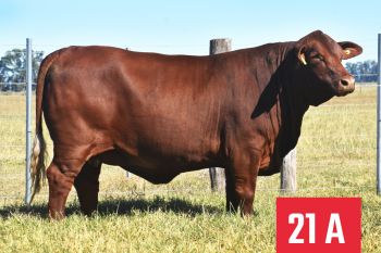 21A
